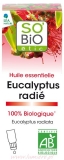 Aromaterapia - Eucalyptus Radiata
